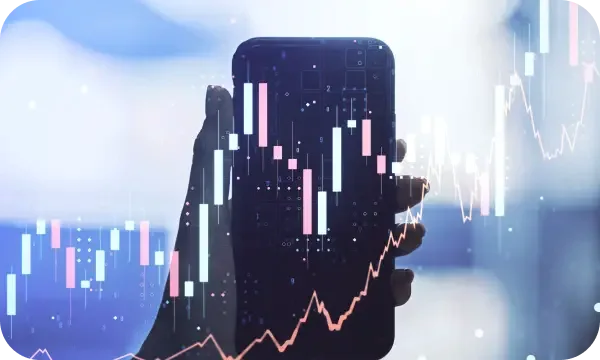 Bitradex Polska analiza crypto